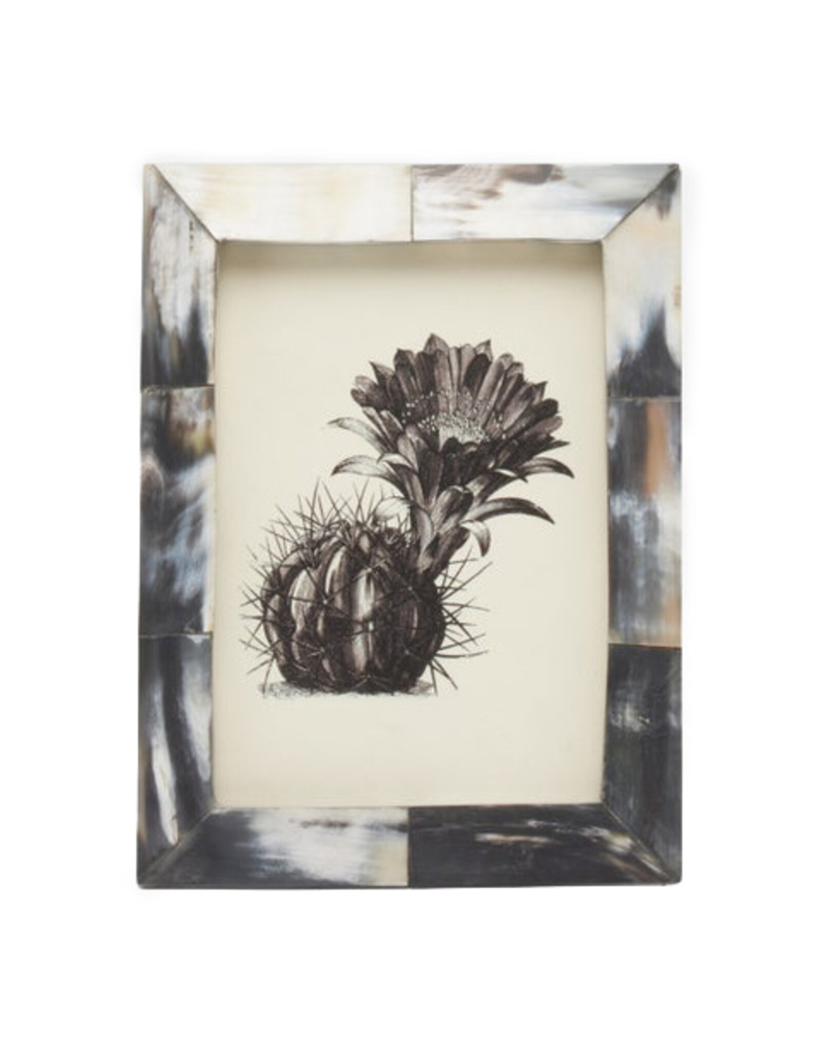 Essen Dark Horn Frame, 5 x 7
