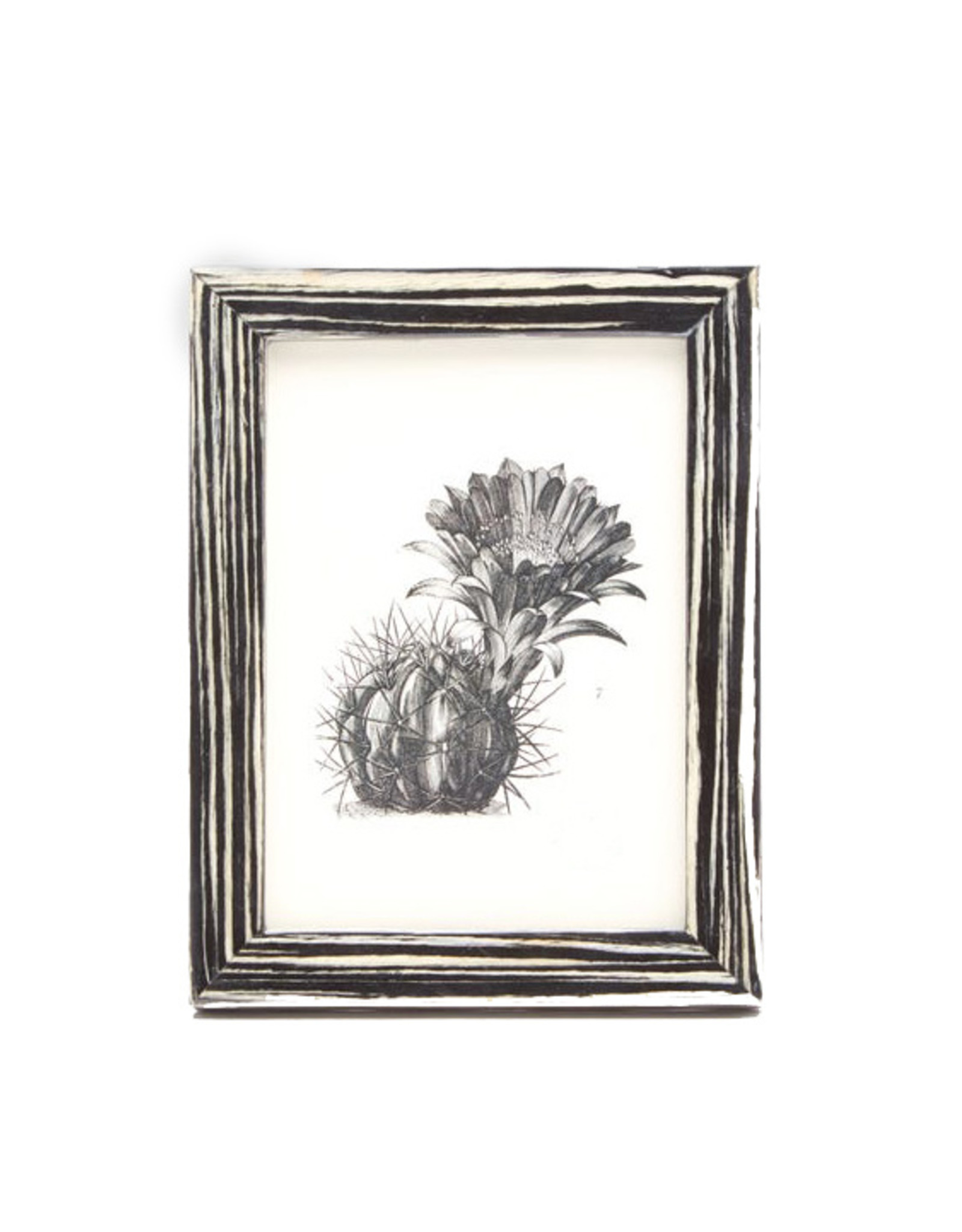 Black & White Laquered Veneer Frame, 5 x7