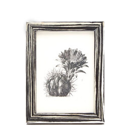 Black & White Laquered Veneer Frame, 5 x7