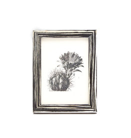 Pigeon and Poodle Black & White Laquered Veneer Frame, 5 x7