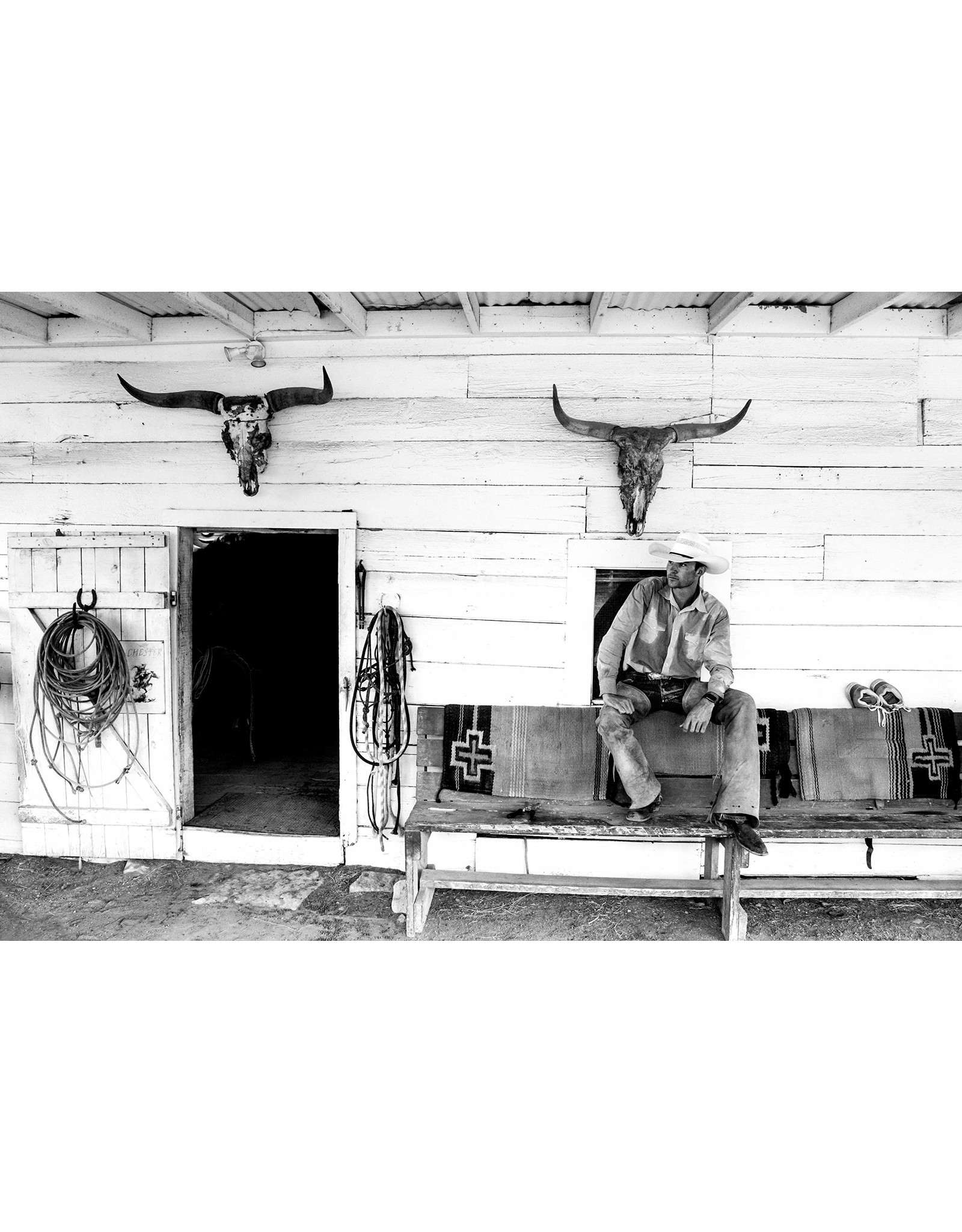 West: The American Cowboy