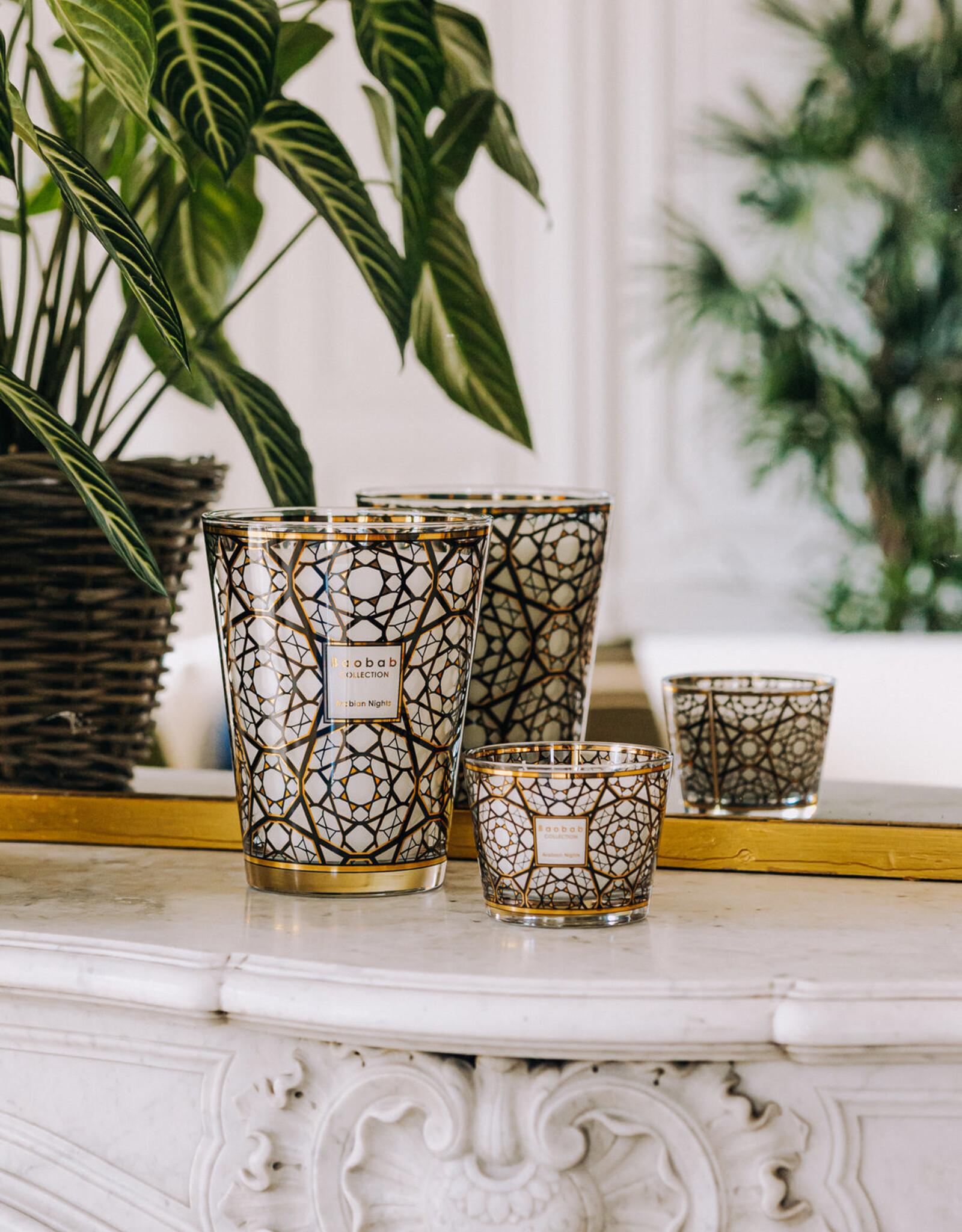 Arabian Nights Max 35