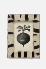 Zebra Hair on Hide Frame, 4 x 6