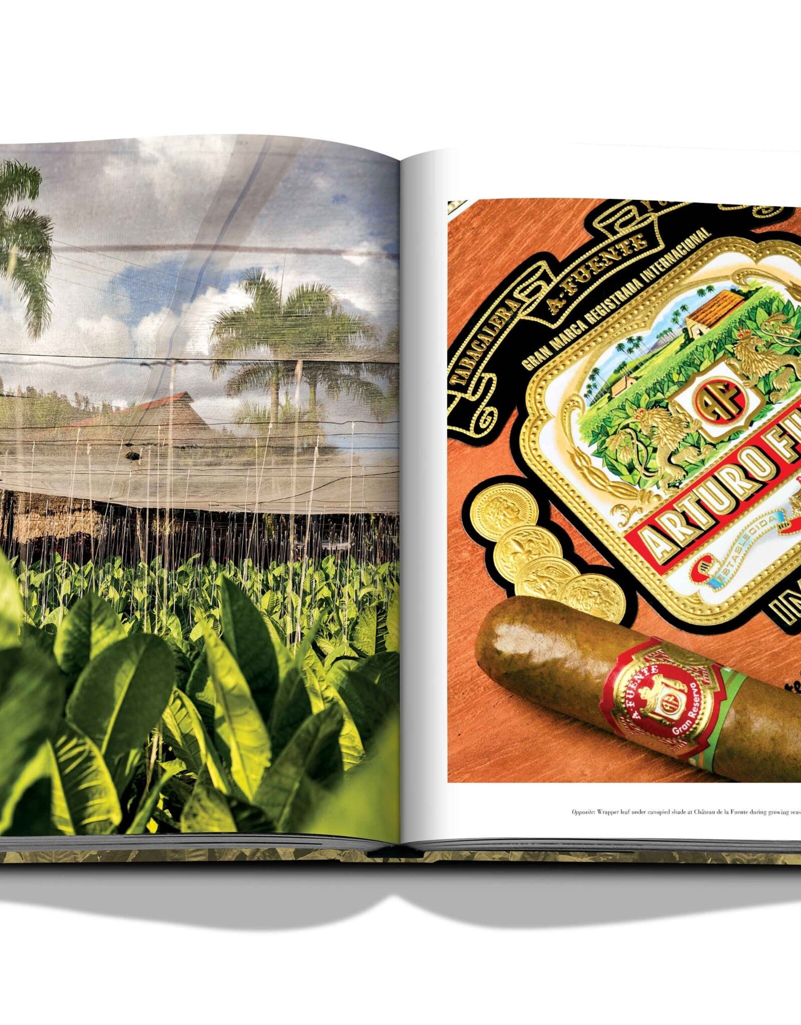 Arturo Fuente, Special Edition