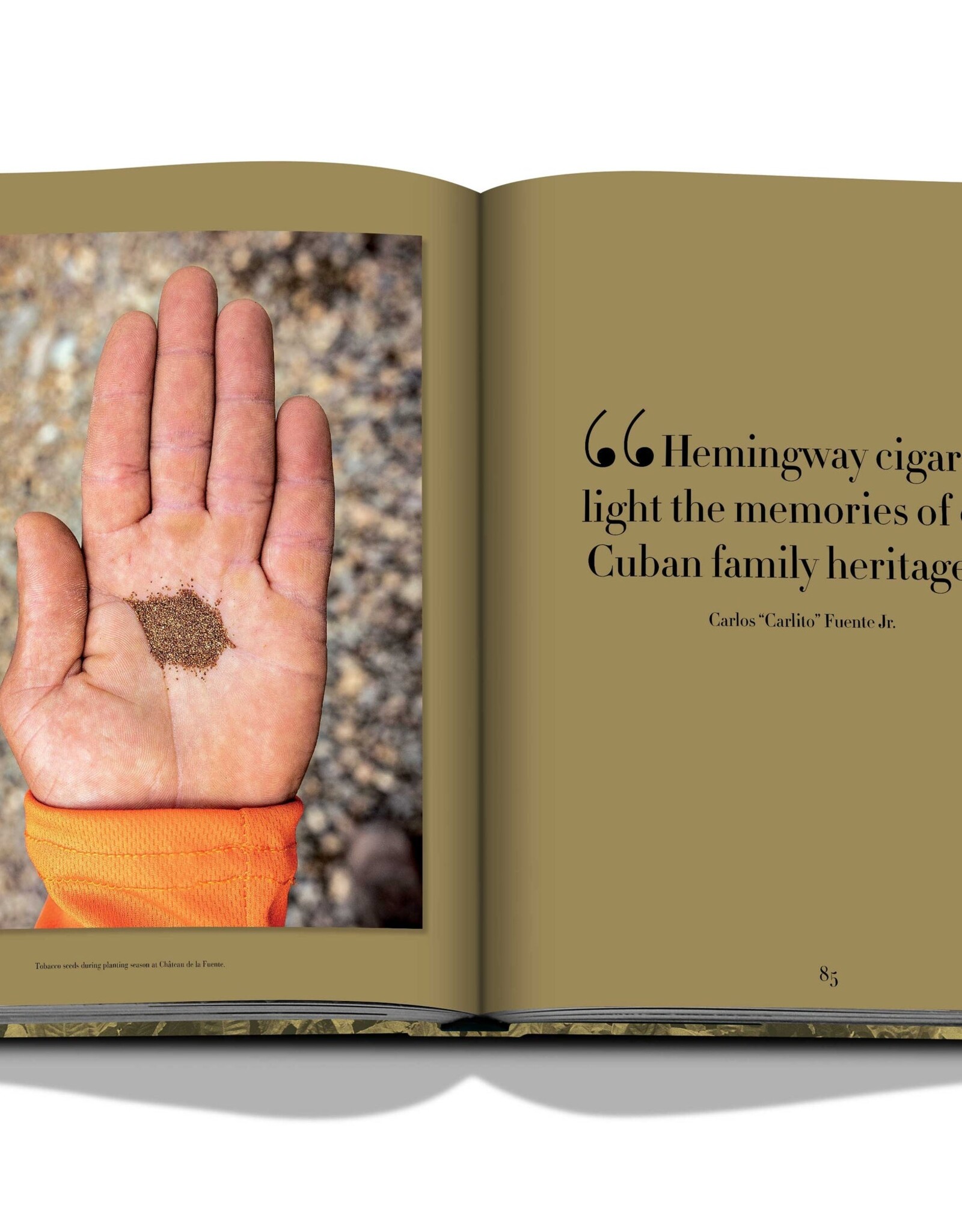 Arturo Fuente, Special Edition