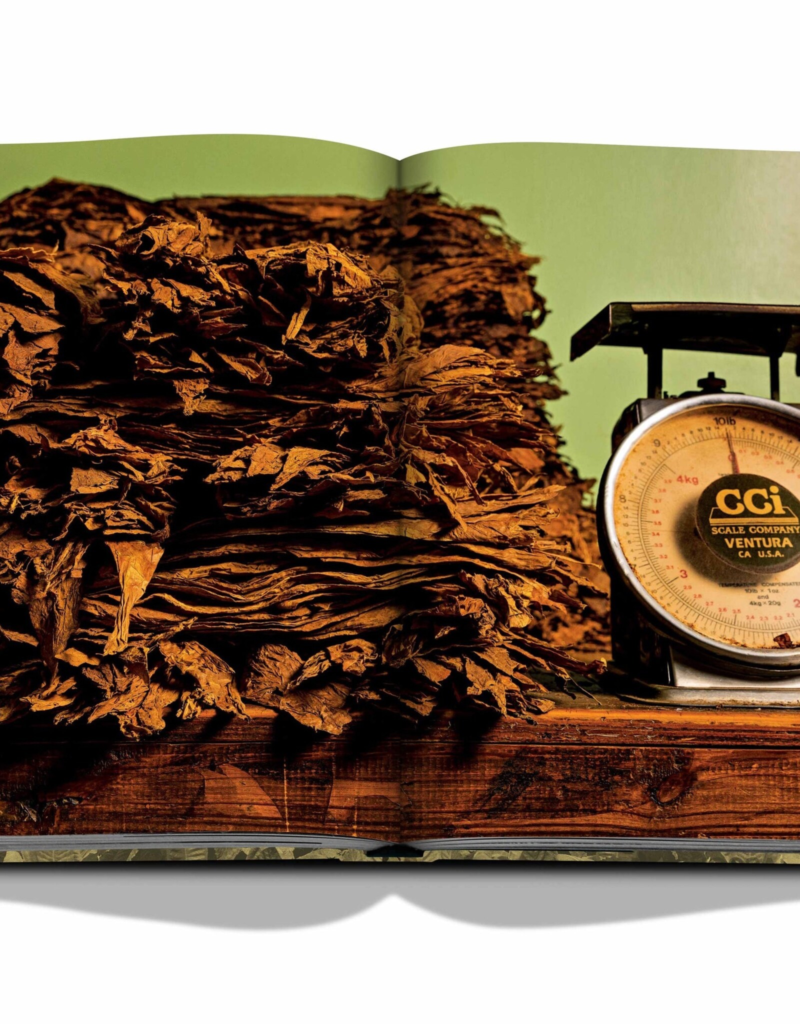 Arturo Fuente, Special Edition