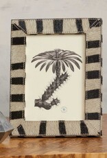 Zebra Hair on Hide Frame, 4 x 6
