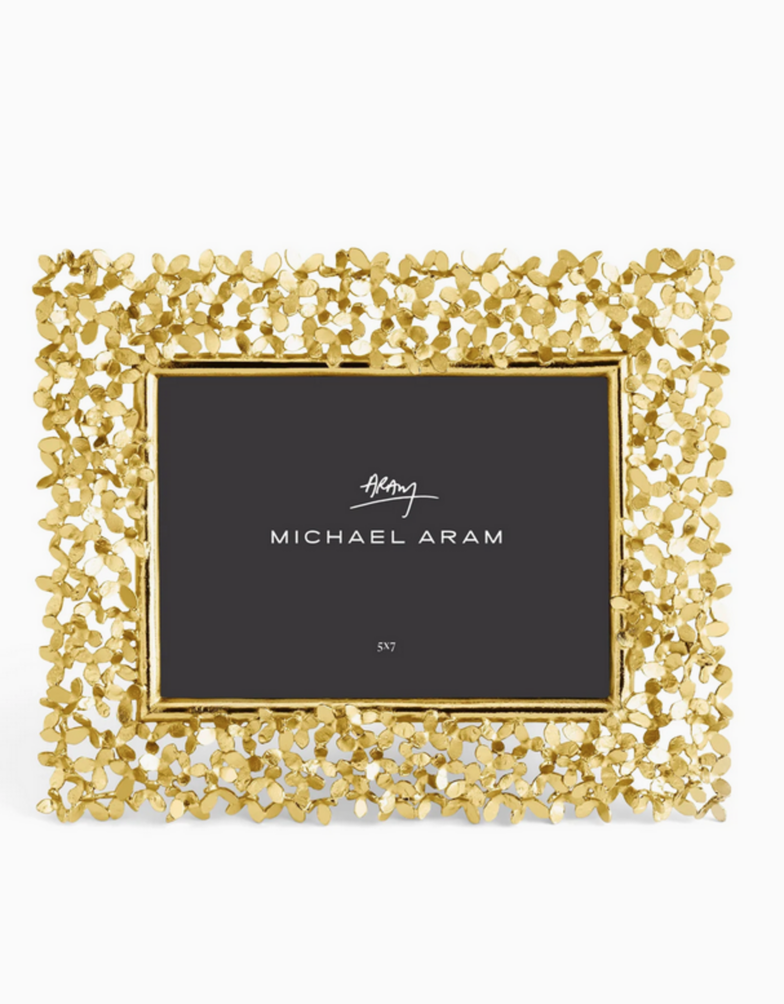 Dandelion Frame, 5 x 7