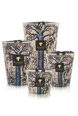 Sacred Trees, Seguela Max 24