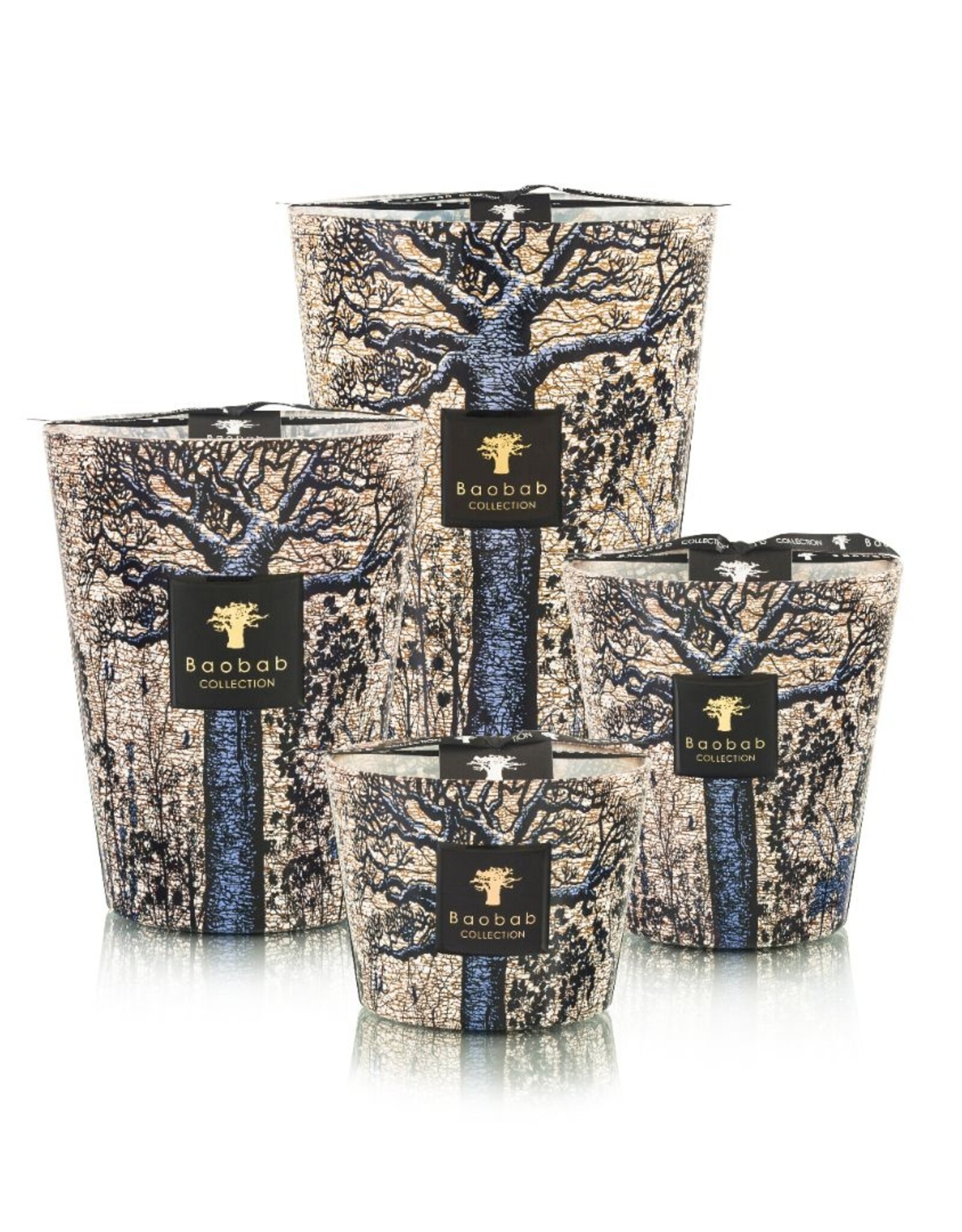 Sacred Trees, Seguela Max 24