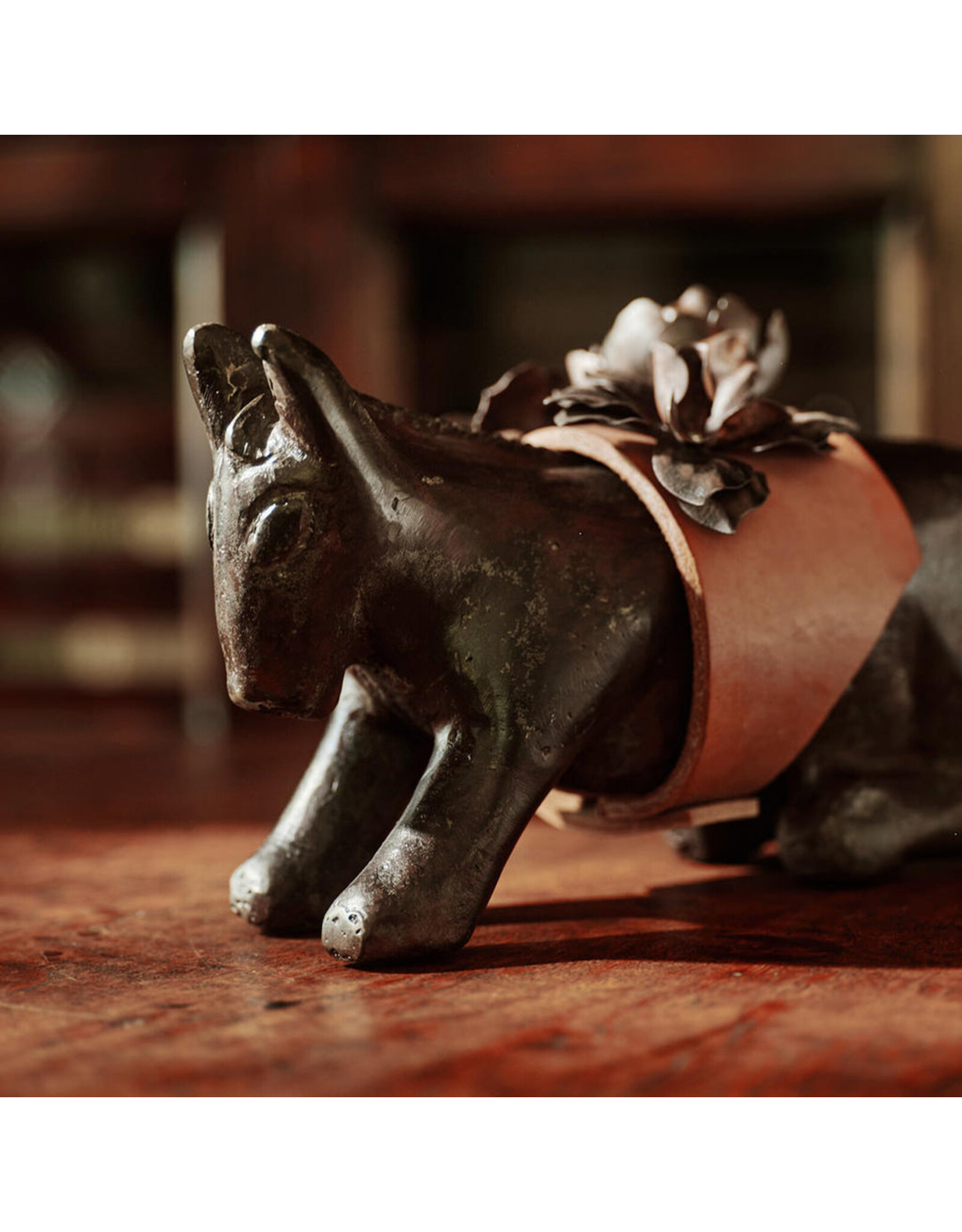 Mini Burro d'Flores