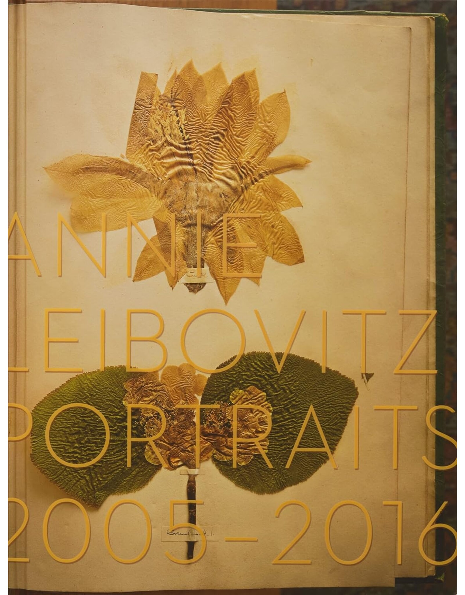 Annie Leibovitz Portraits 2005-2016 (HBG)