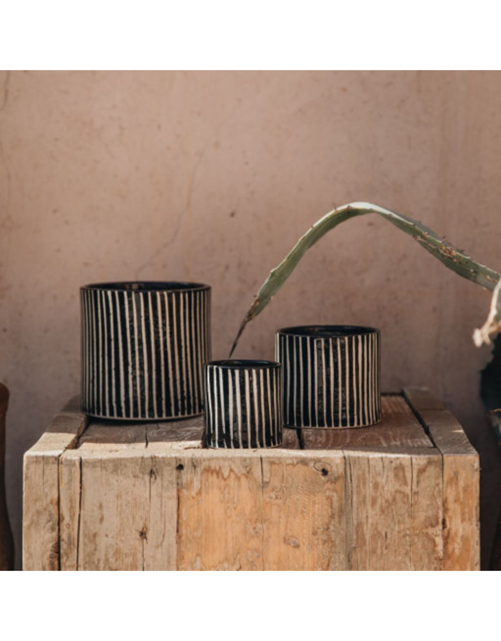 Côté Bougie Bougie Zébré, M, Mandarine Majorelle
