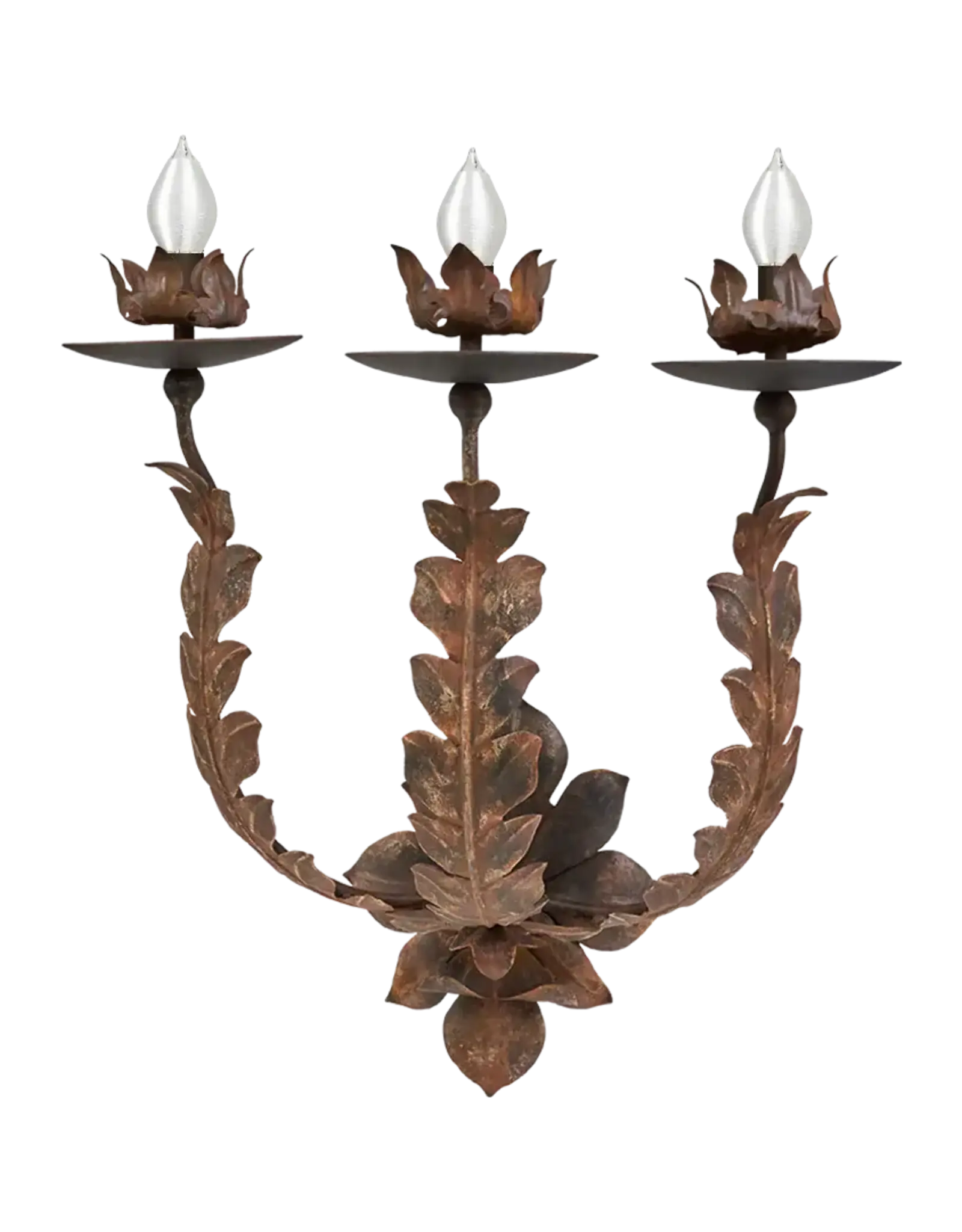 Hiedra Sconce