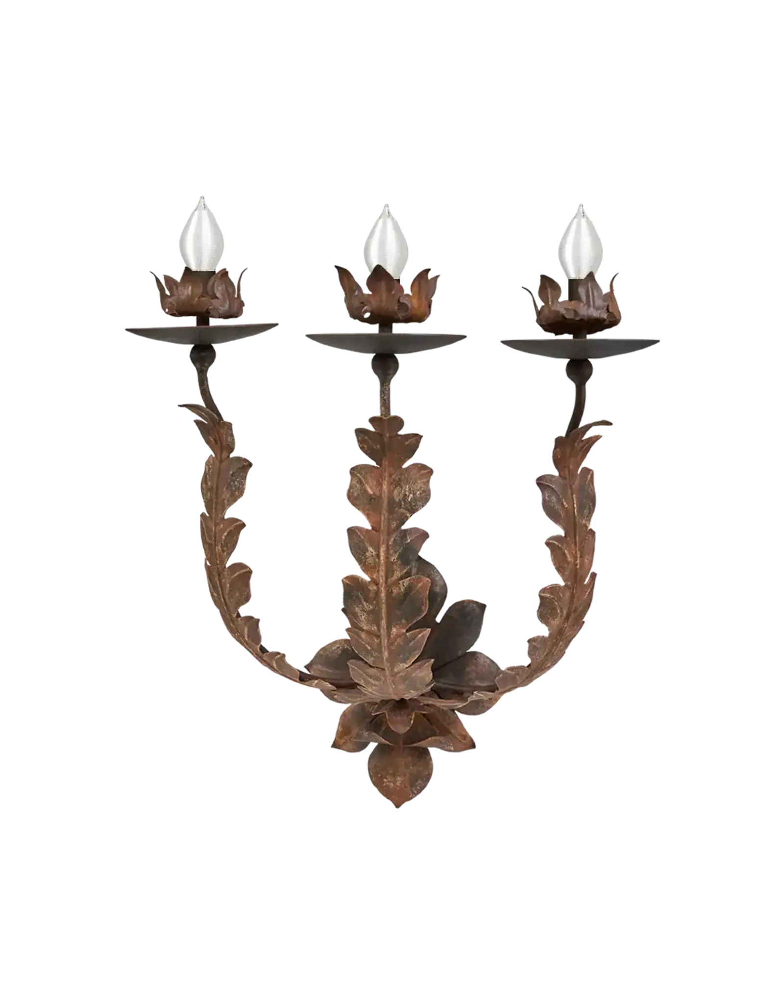 Hiedra Sconce