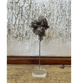 Carved Flowers Lucite, Italy 19th c, 14.25H