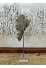 Fragment on Lucite, Italy 19th c, 17.25H