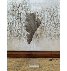 Fragment on Lucite, Italy 19th c, 17.25H