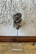 Carved Flower Fragment on Lucite, Italy 19th c, 13H