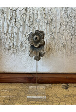 Carved Flower Fragment on Lucite, Italy 19th c, 13H