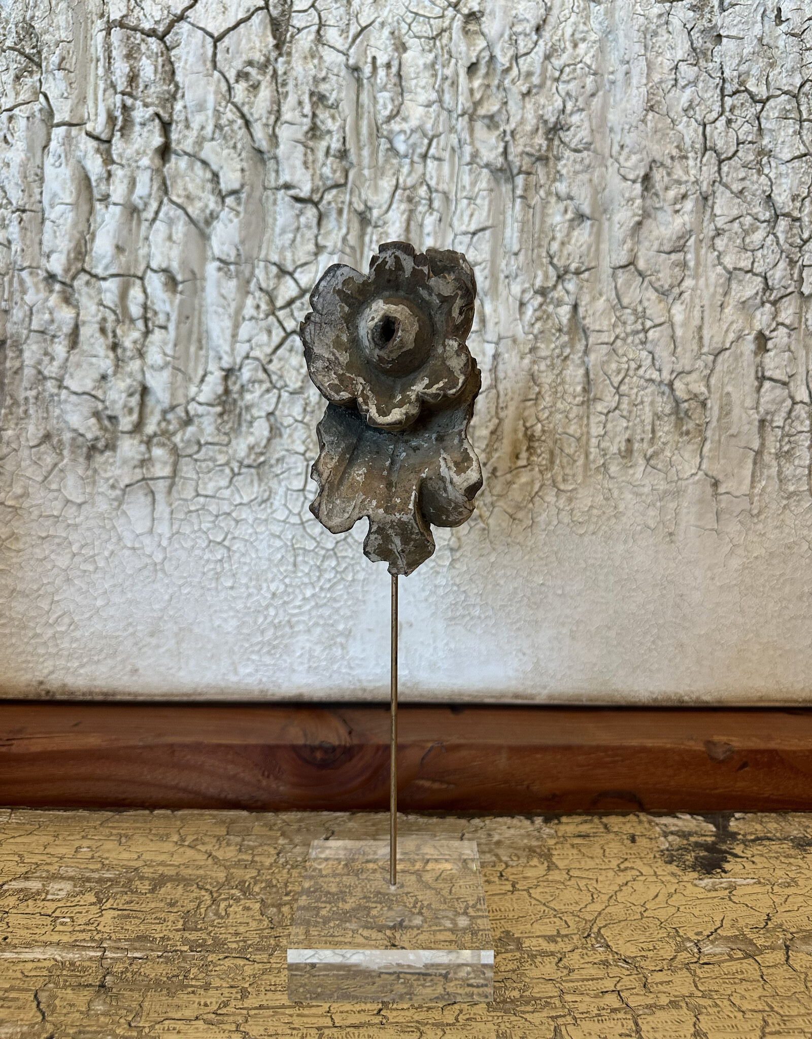 Carved Flower Fragment on Lucite, Italy 19th c, 13H