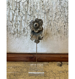 Carved Flower Fragment on Lucite, Italy 19th c, 13H