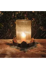 Rosa Bombilla Hurricane