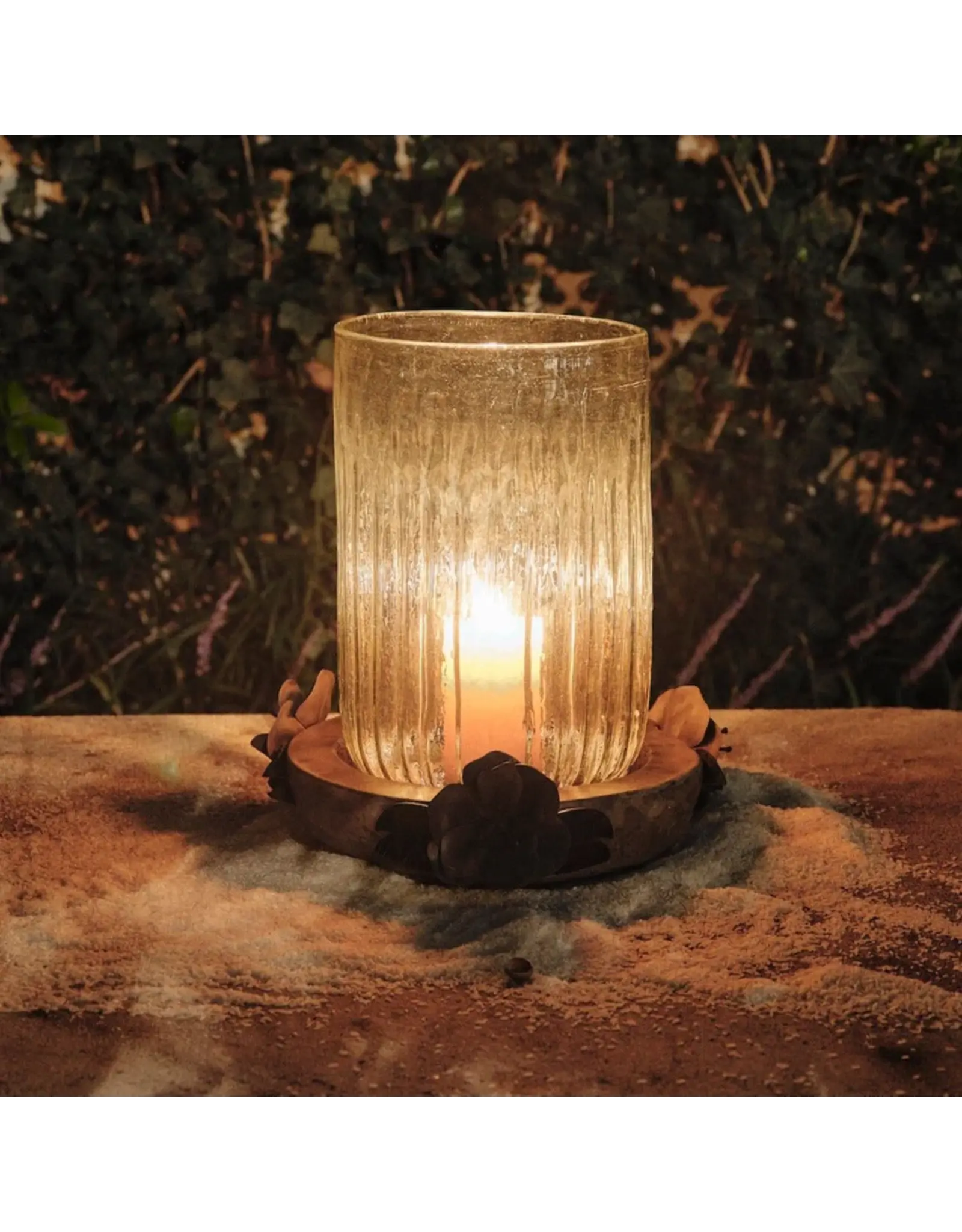 Rosa Bombilla Hurricane