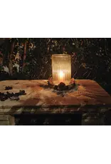 Rosa Bombilla Hurricane