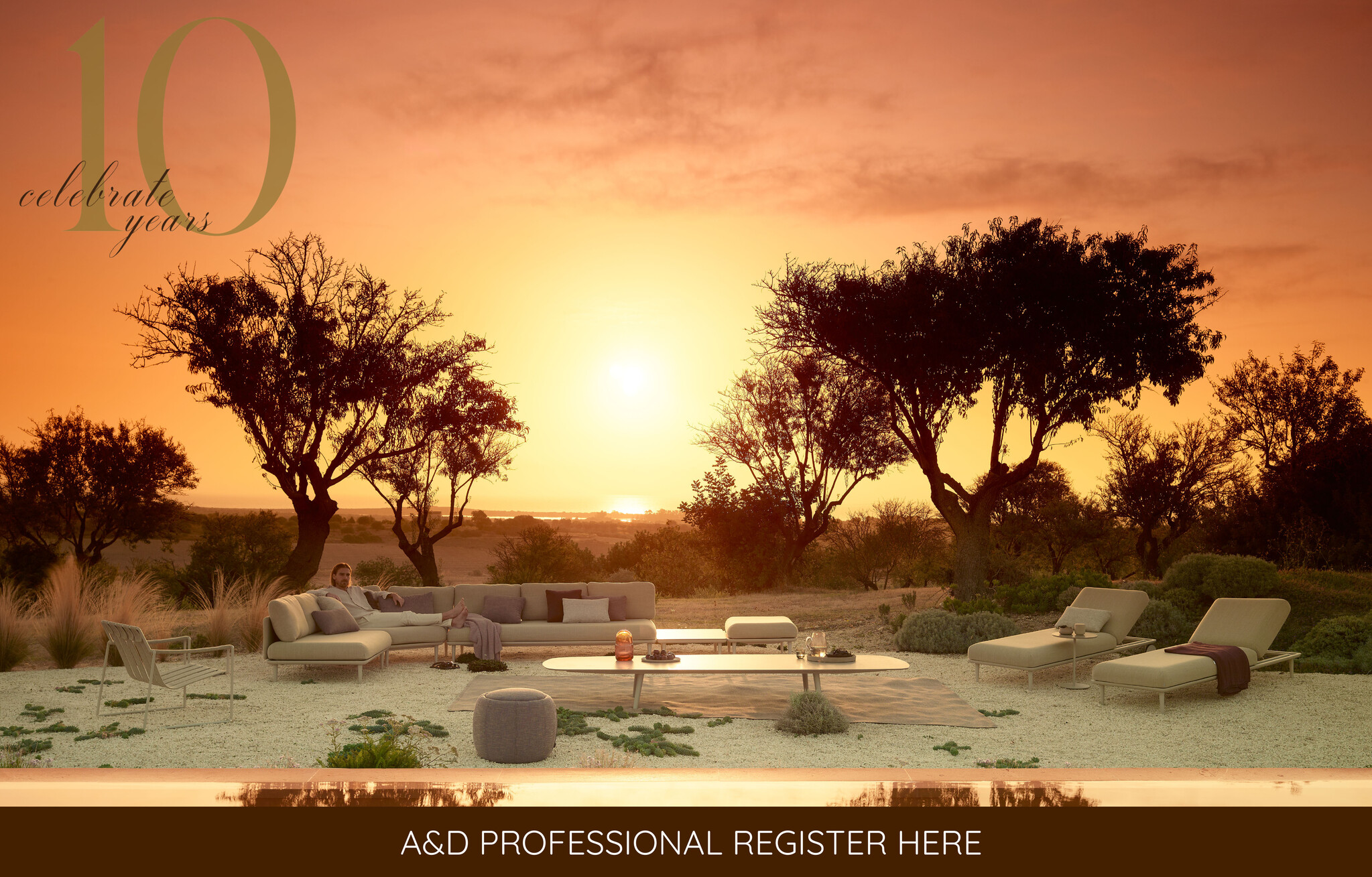 The Collector's House 