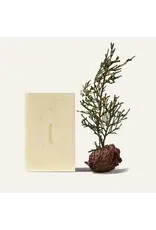 Patchouli & Pine Bar Soap