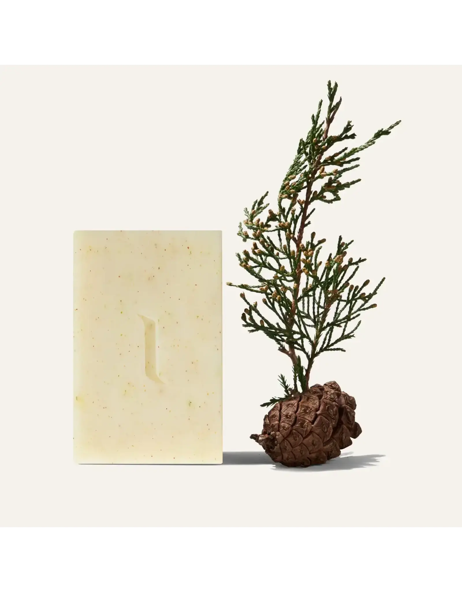 Patchouli & Pine Bar Soap