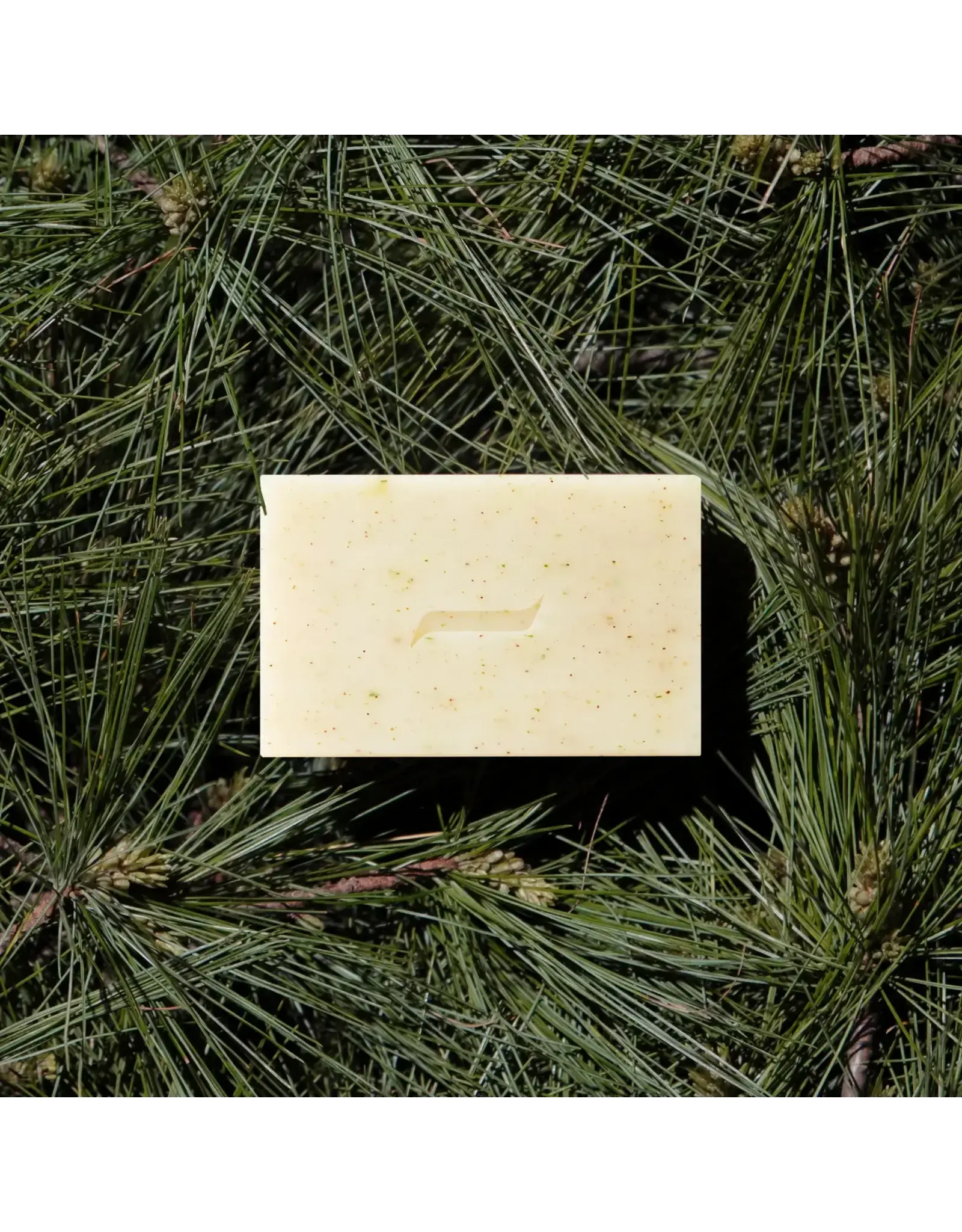 Patchouli & Pine Bar Soap