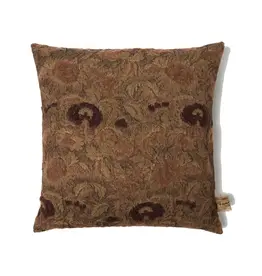 House of Lyria Lithops PIllow, 22 x 22