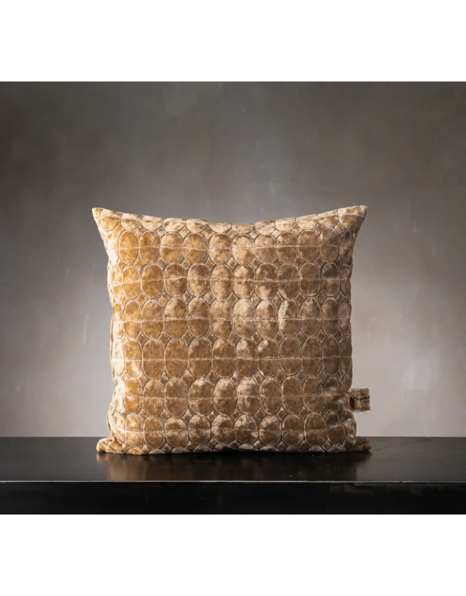 House of Lyria Anais Pillow, 22x22