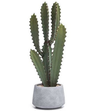 SAWTOOTH DESERT FAUX CACTUS