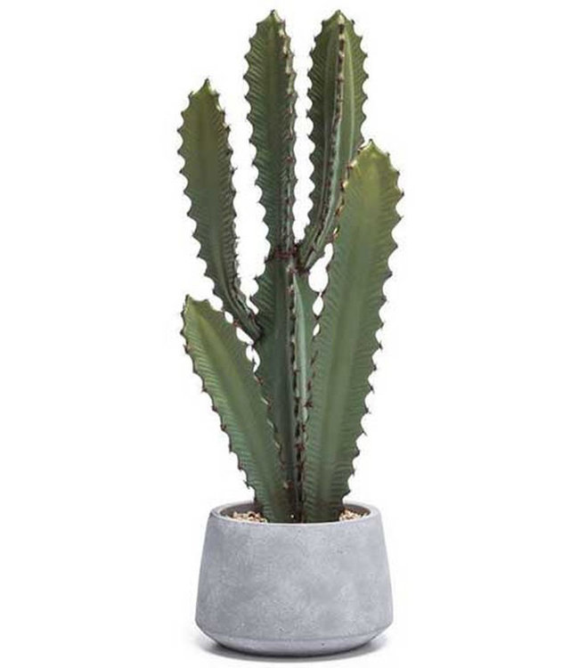 SAWTOOTH DESERT FAUX CACTUS