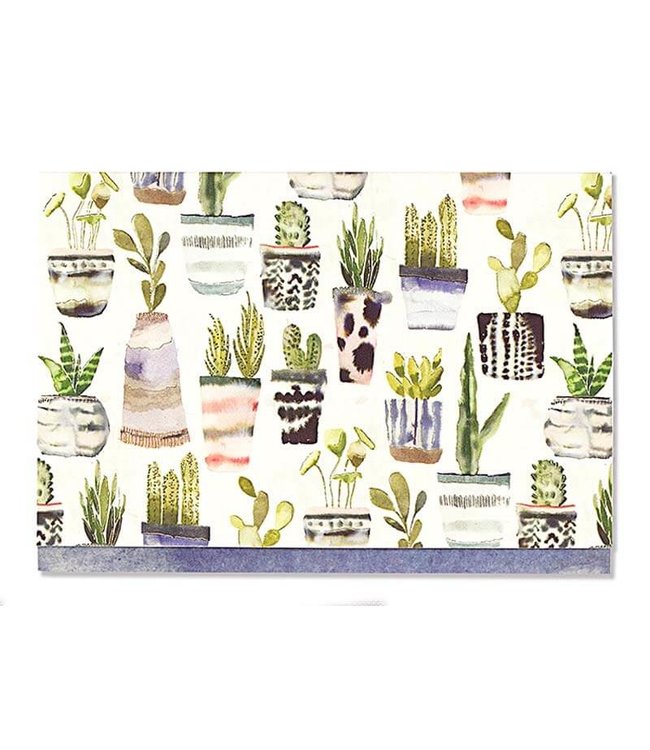 SUCCULENTS NOTE CARD SET