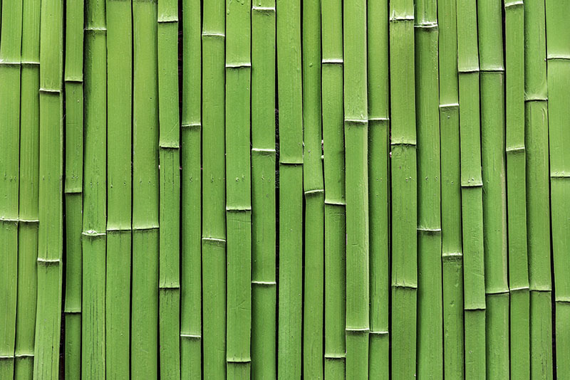 What you need to know about bamboo