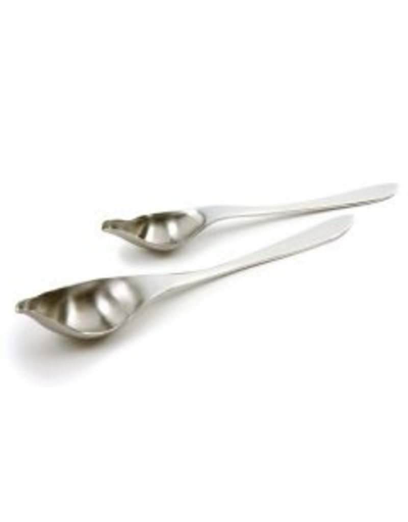 Norpro STAINLESS DRIZZLE SPOONS, Set of 2 DISC