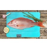Toadfish Toadfish Stowaway Folding Cutting Board with Built-in Sharpener, LG