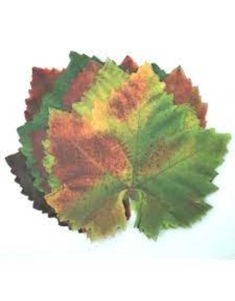 Harold Imports Sisson Parchment Leaves, Grape, Set of 20