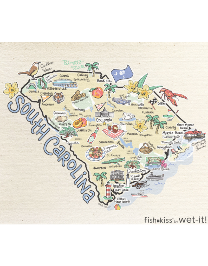 Wet-It Swedish Dish Cloth South Carolina State