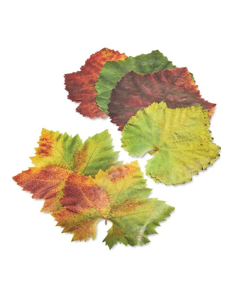 Sisson Parchment Grape Leaves, set of 20
