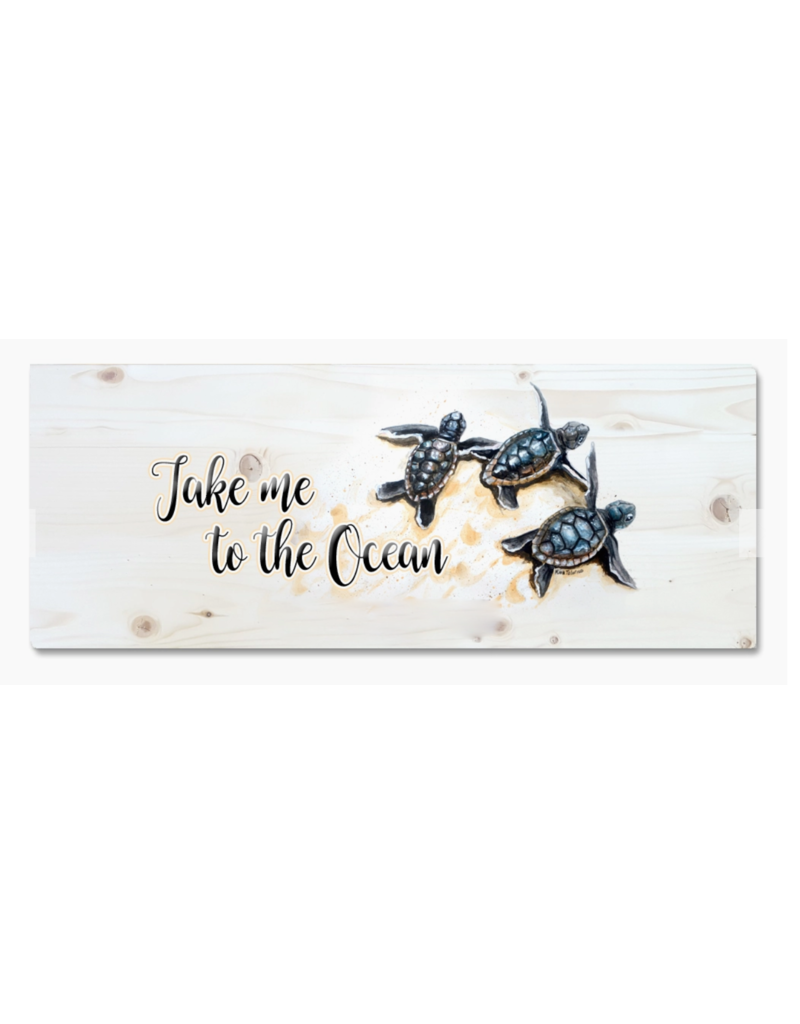 Sign, Take Me To The Ocean, Baby Sea Turtle 5x12