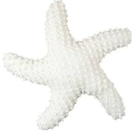 C and F Home Pillow, White Starfish
