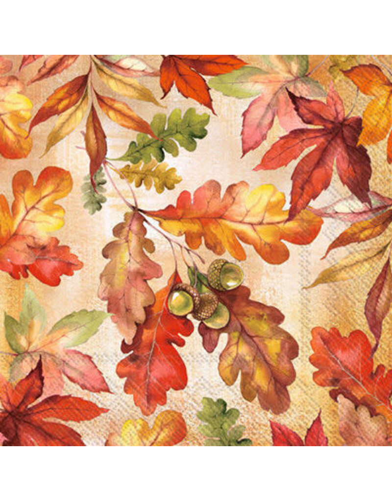 Boston International Fall Cocktail Napkins, Bright Autumn Foliage, 20x