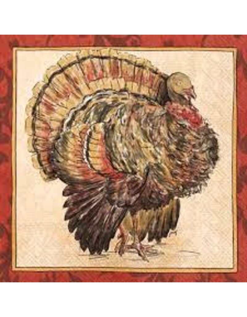 Boston International Fall Cocktail Napkins, Painterly Turkey, 20x