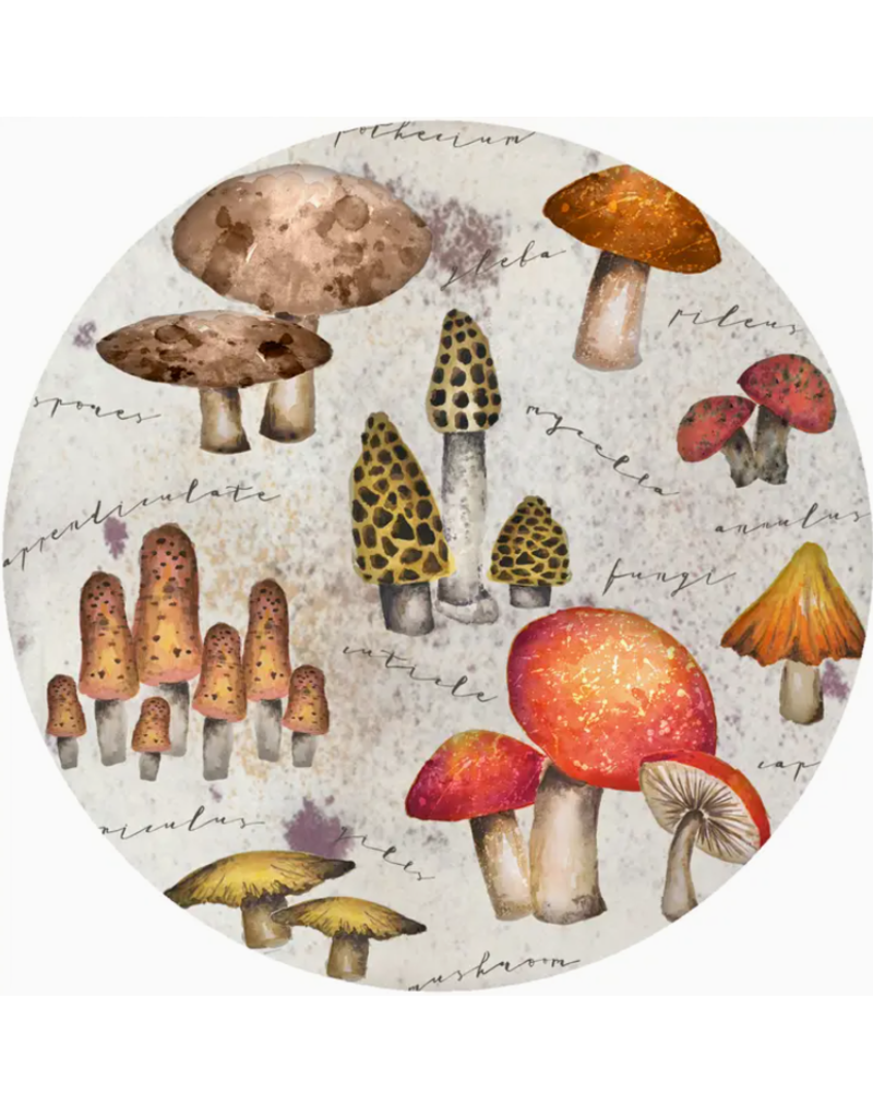 Andreas Silicone Jar Opener, Mystical Assorted Mushrooms