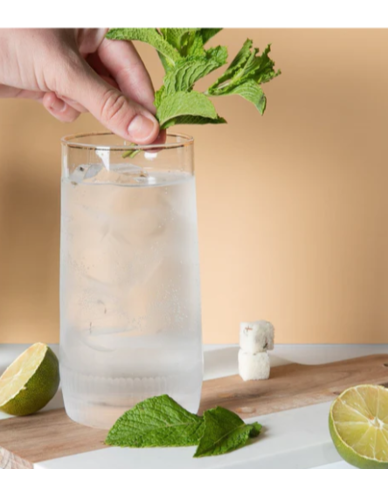 Cocktail Cube Stick, Mohito, 12 mixologist cubes disc